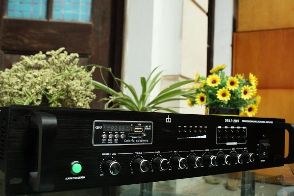 Amply DB LP-100T