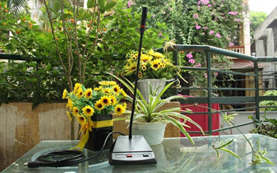 Micro đại biểu DB LH-8000B