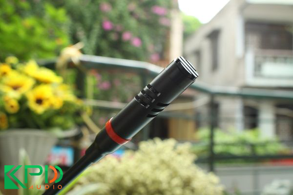 micro dai bieu db lh 8000b 03
