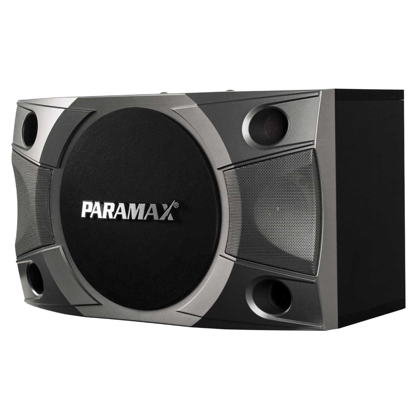 Loa Paramax P800 | Loa Karaoke Bass 2 tấc