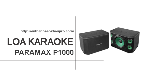 loa karaoke paramax p1000 01
