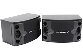 loa karaoke paramax p300 01