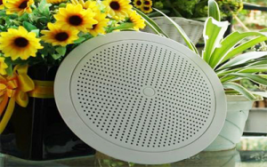 Loa âm trần DB TS-301