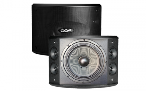 Loa karaoke AAD PRO 10