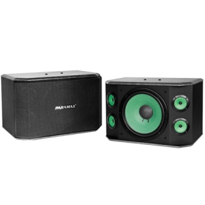Loa karaoke Paramax P 2000