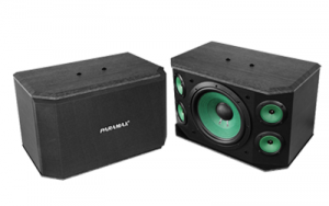 Loa karaoke Paramax P1000