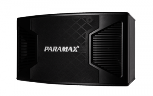 Loa karaoke Paramax P2500