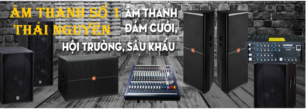Lắp đặt âm thanh hội trường tại Thái Nguyên
