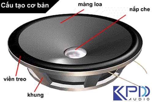 mang loa roi cho am thanh hoi truong